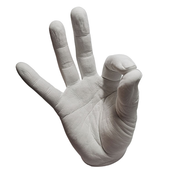 Casting Alginate