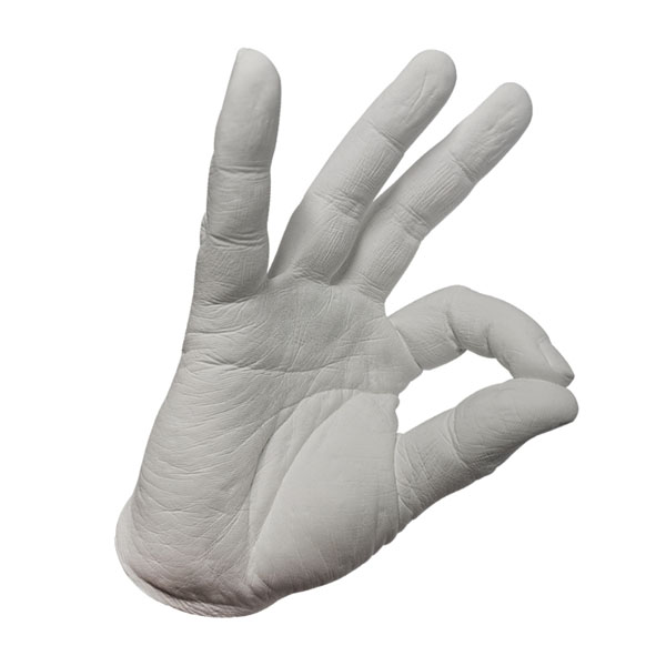 Casting Alginate