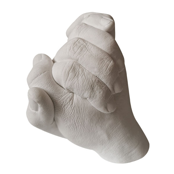 Casting Alginate