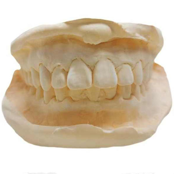 Casting Alginate