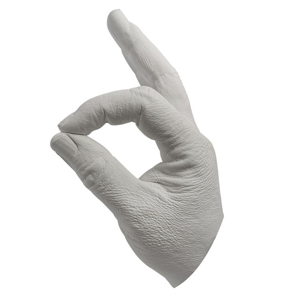 Casting Alginate