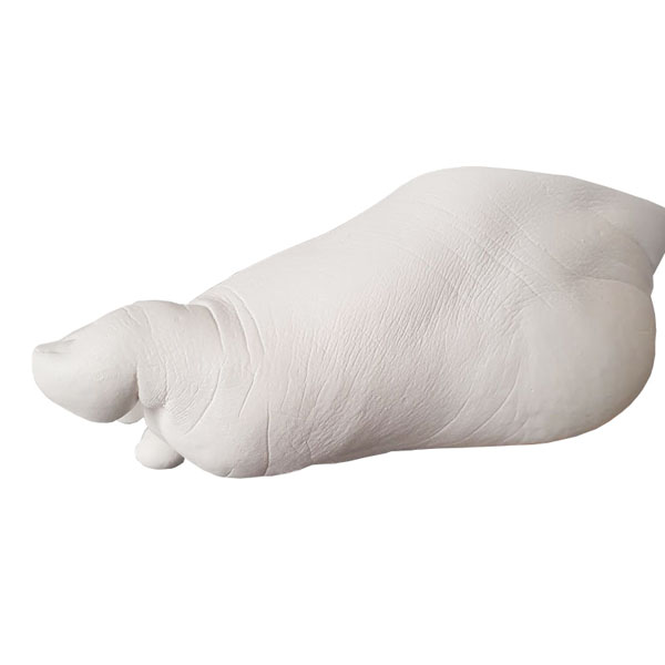 Casting Alginate