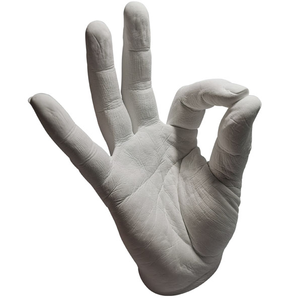 Casting Alginate